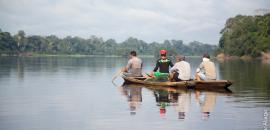 Sustainable management of the arapaima