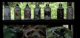 Protecting Colombia’s extraordinary orchid biodiversity