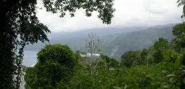 The Tuke Rainforest Conservancy