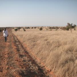 Tangible benefits - Impact of firebreak constructed by communities