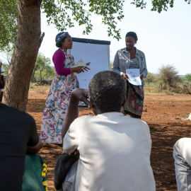 Mangalane  - Photo by WWF-SA Nick Aldridge