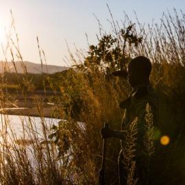 A scout on patrol, surveying across the river and hidden by long grass and reeds