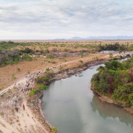 The Rupununi has a history of low-impact, extensive and free ranging cattle ranching. Credit: FAO / David Mansell-Moullin