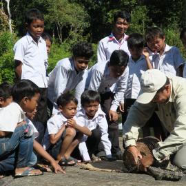 Release of Siamese crocodile in the Cardamom Mountains with local schoolchildren. Credit: Pablo Sinovas - FFI