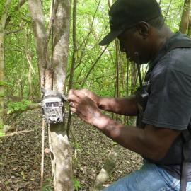 Roseman Adams and camera trap to monitor wildlife and illegal activities. Photo by Jenny Daltry, FFI