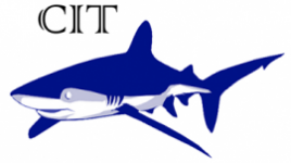 Centro para la Investigación de Tiburones