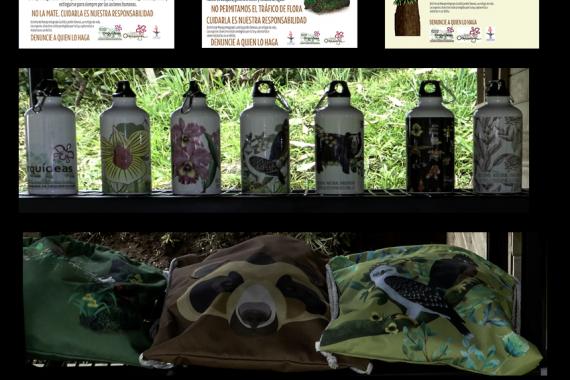 The Colombian Orchid Society (SCO) is leading an outreach program to train local communities from Jardín, Antioquia and surrounding areas. Credit: The Colombian Orchid Society (SCO) The Colombian Orchid Society (SCO) is leading an outreach program to train local communities from Jardín, Antioquia and surrounding areas.