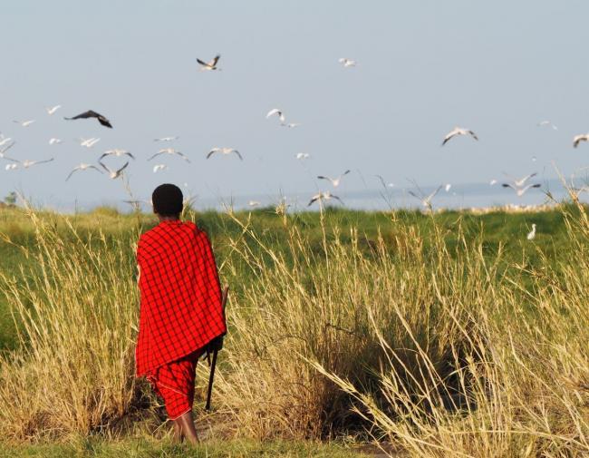 Local scout looks out over Lake Natron, Tanzania 