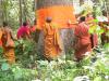 Monks in Cambodia's Monks Community Forests surround a tree and use a strip of orange cloth to wrap around its trunk in order to ordain the tree to protect it from logging